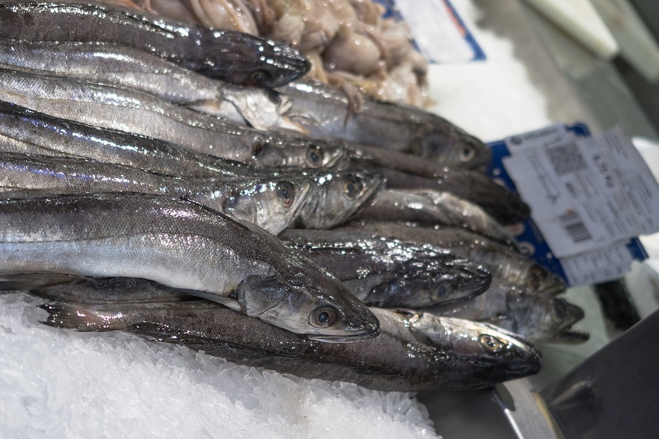 Salted Fish Must have Seafood while in Alicante Alicante Blog